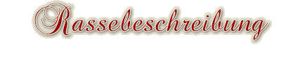 Coton-Rassebeschreibung